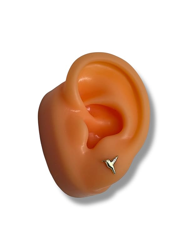 Broquel O Arete Colibri Liso Oro 10k Garantizado - Angeles Joyas