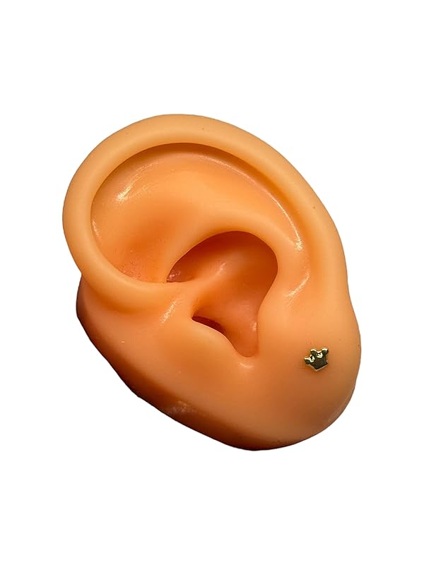 Broquel O Arete Corona Chica En Oro 10k Garantizado