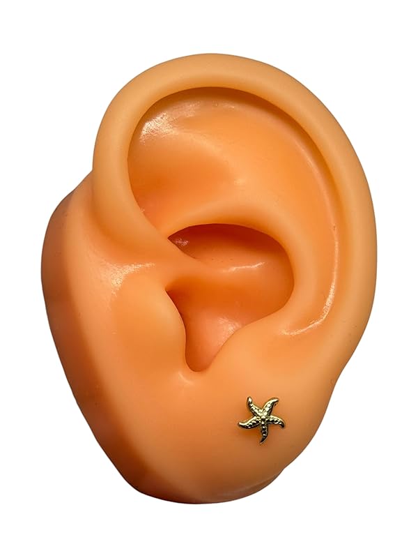 Broquel O Arete Concha Estrella Mar Perla Oro 10k Garantizado - Angeles Joyas